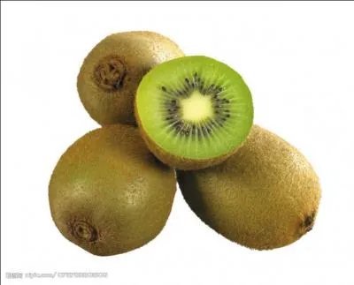 Look at the picture, what is it?