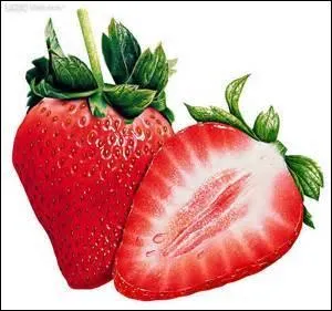 Look at the picture, what is it?