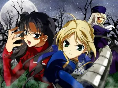 Which of these aren't a class in Fate Stay Night?