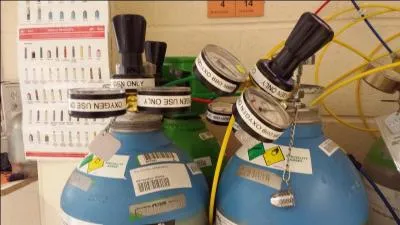 Which type of regulator is the ONLY type of regulator that should be connected to an Oxygen rich cylinder (>25% O2)?