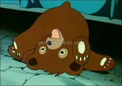 What's this little bear's name?