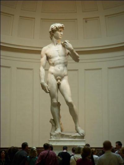 Regarding the  David  by Michelangelo - Which of these facts is true?