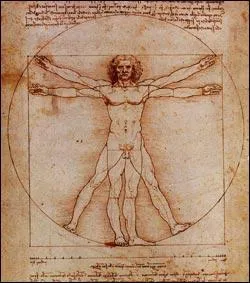 Regarding the study of human body proportions according to Vitruvius (or Vitruvian Man) by Leonardo da Vinci - Which of these facts is true?