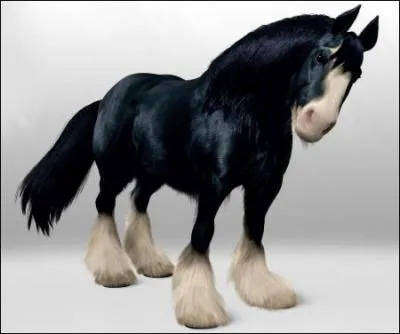 If you want to find my name, my horse's name is Angus!