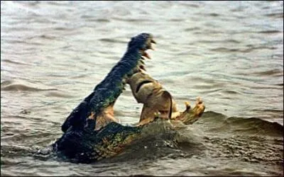 I hope not to have to lob you with this last answer! 