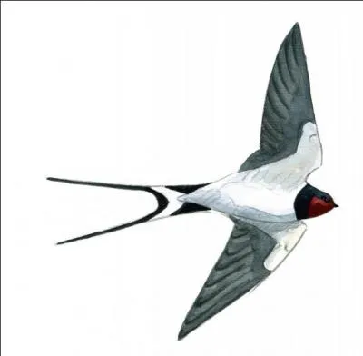 This Franco-Italian brand is now part of the PSA Peugeot-Citroen heritage! 