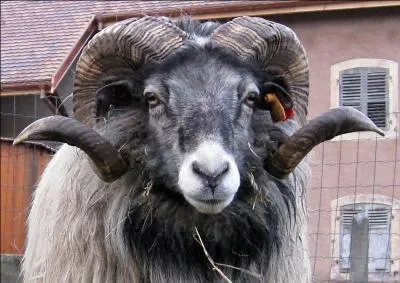 Until May 2010, the slogan of this company was: Bite into life, beware, this slogan is misleading!