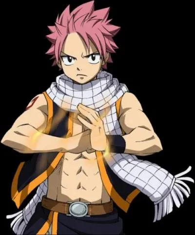 Which character is this? (Fairy Tail)