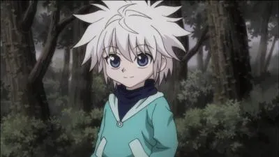 Who is this character? (Hunter X Hunter)