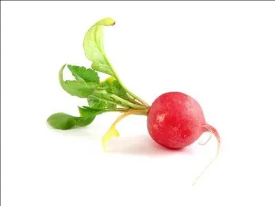 What is the name of this vegetable?