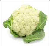 What is the name of this vegetable?