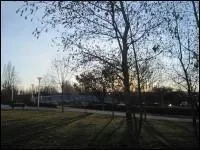 It's getting dark. We'd ... go back home.