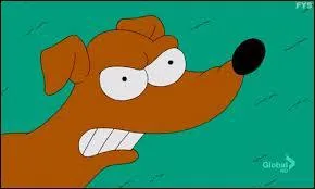 What is The Simpsons familys dogs name?