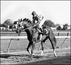 What leg markings are shown on Secretariat?