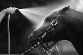 Which of the following is not a marking? (You do NOT need to look at the picture)