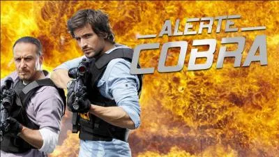 How many episodes are there in the series Cobra Alert?