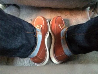 How many pairs of shoe do I own?