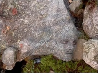 True or False : Katniss finds Peeta next to the mountain.