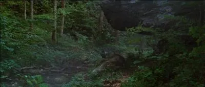 What is the Hunger Games?