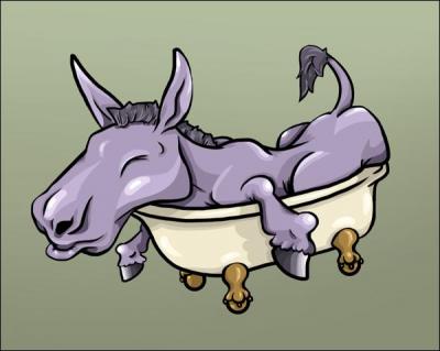 Donkeys cannot sleep in bathtubs.