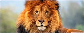 Which European carmaker is also known as the lion brand?