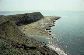 What is a wave cut platform?