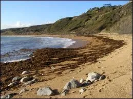 What is a high tide mark?