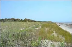 What is a secondary dune?