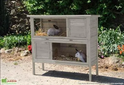 A rabbit has long ears, its teeth usually grow throughout its life. A rabbit's home is called a ... .