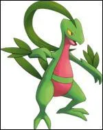 What pokemon does Sacha own in the anime?