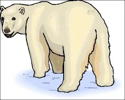 Polar bears live in the...