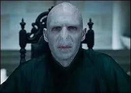 What where Voldemort's 7 horcruxes?