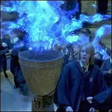 What is the special event that takes place at Hogwarts?