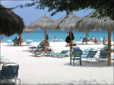 Which of the Five Themes of Geography does this image depict?