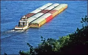 Which of the Five Themes of Geography does this image depict?