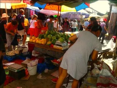 Which of the Five Themes of Geography does this image depict?