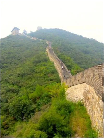 Which of the Five Themes of Geography does this image depict?