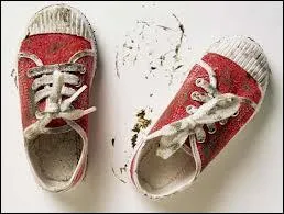 ____ I had just cleaned the kitchen floor, he ran into the house with dirty shoes