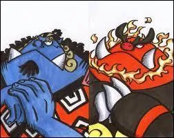 Who's behind Roitiflam?