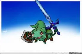 A Bulbizarre with a sword! Who is this young hero moving across the plains of Hyrule?