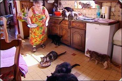 Could you, please, look ... my cats while I am on holiday?