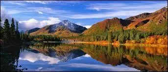 Which state has the largest surface area in the United States of America?