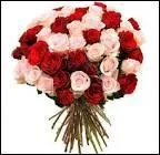 ... brought this bunch of roses? They smell so good!