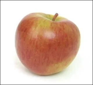 Is an apple a non-living thing?