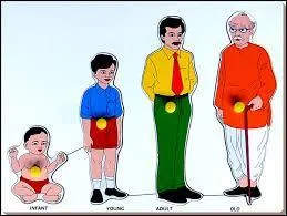 Do non-living things grow and change?