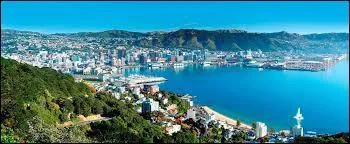 Let's go for the four most confusing capitals. What is the capital of New Zealand?