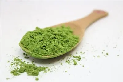 One cup of Matcha Green Tea is said to be equivalent to...