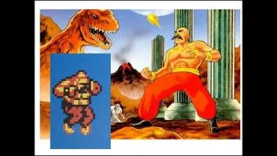 Name this video game character.