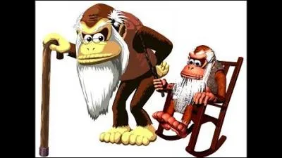 Name this video game character.