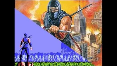 Name this video game character.